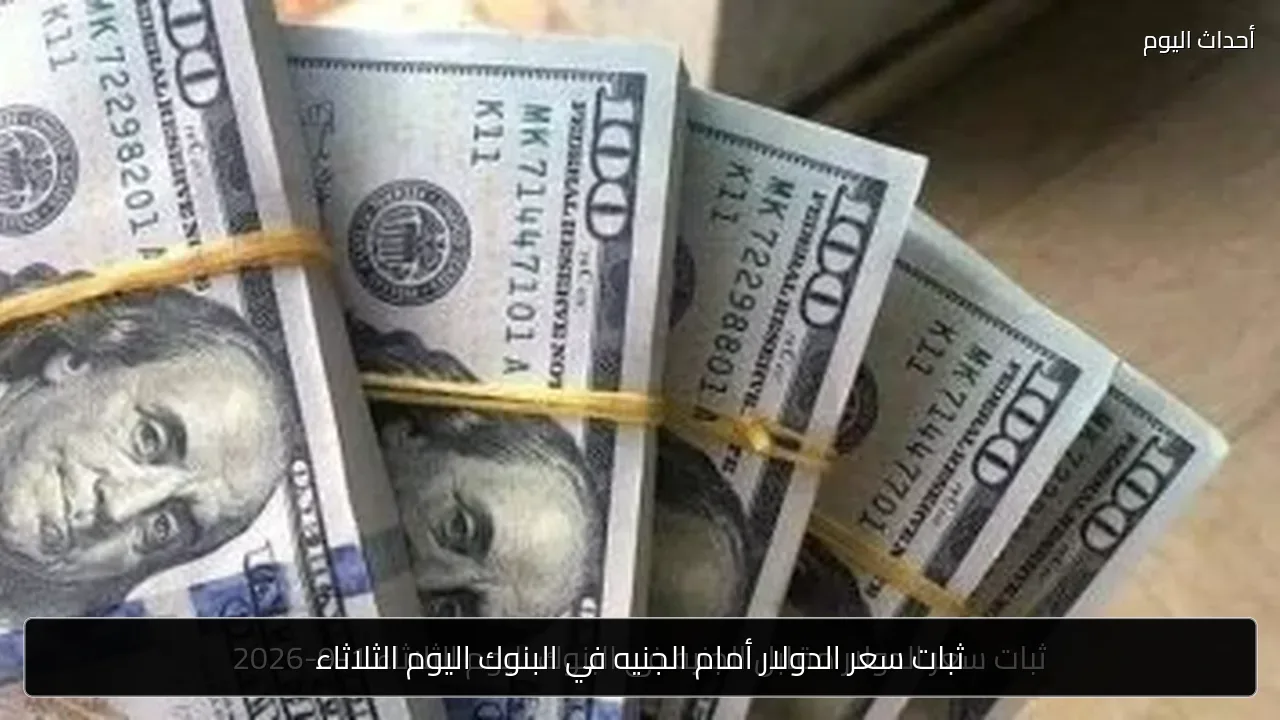 ثبات سعر الدولار أمام الجنيه في البنوك اليوم الثلاثاء