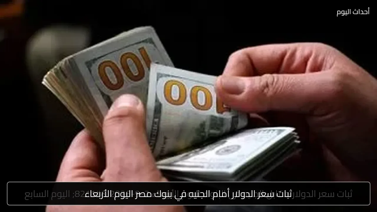ثبات سعر الدولار أمام الجنيه في بنوك مصر اليوم الأربعاء