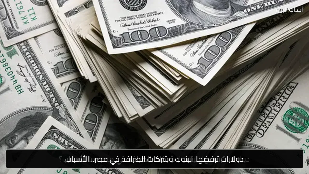 دولارات ترفضها البنوك وشركات الصرافة في مصر.. الأسباب