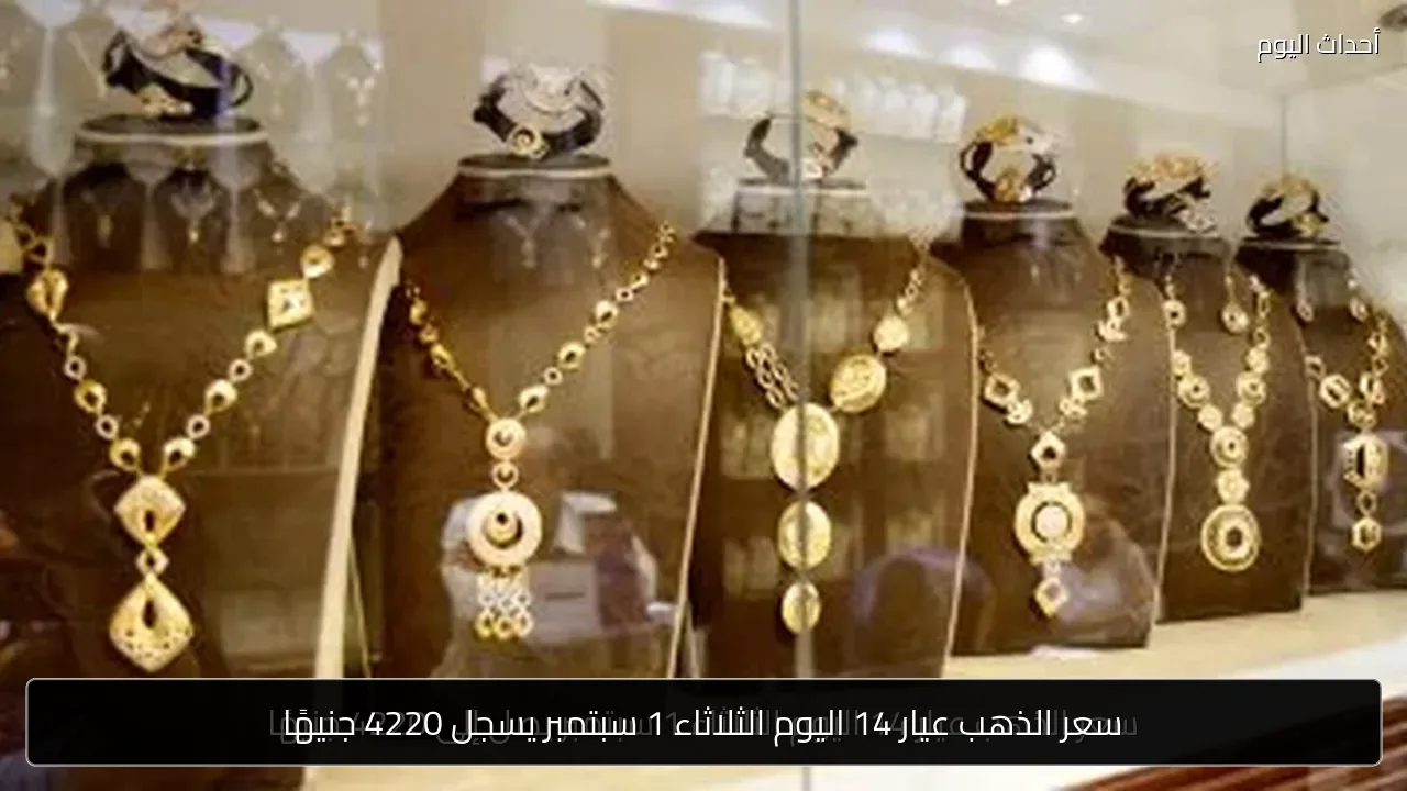سعر الذهب عيار 14 اليوم الثلاثاء 1 سبتمبر يسجل 4220 جنيهًا