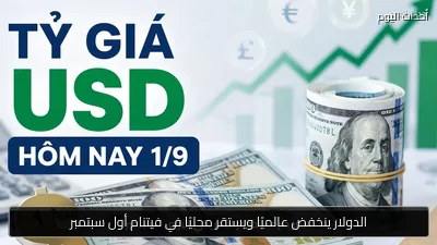 الدولار ينخفض عالميًا ويستقر محليًا في فيتنام أول سبتمبر