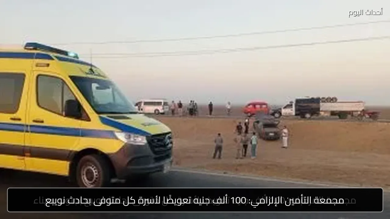 مجمعة التأمين الإلزامي: 100 ألف جنيه تعويضًا لأسرة كل متوفى بحادث نويبع