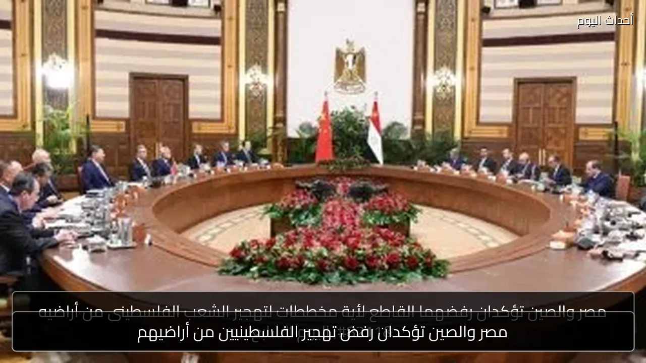 مصر والصين تؤكدان رفض تهجير الفلسطينيين من أراضيهم