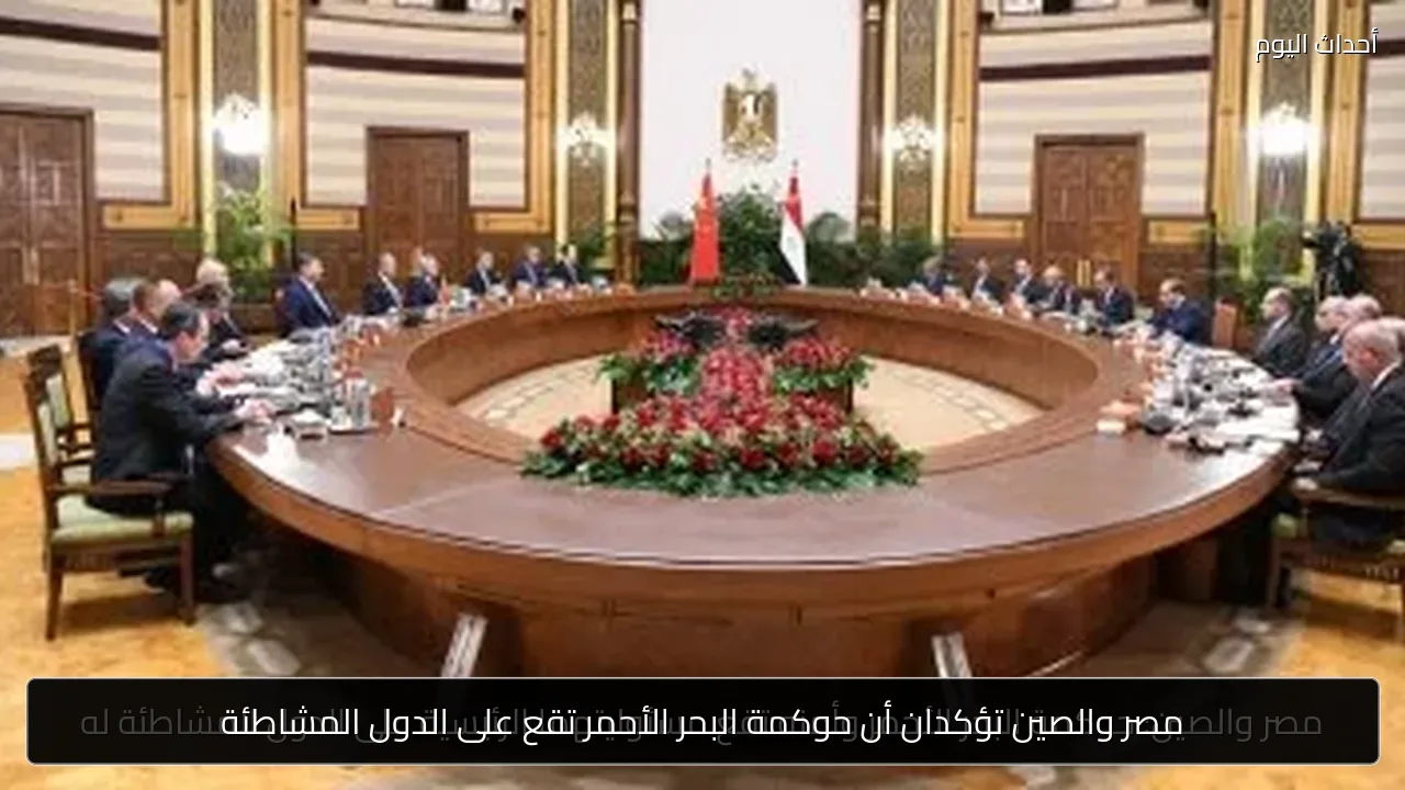 مصر والصين تؤكدان أن حوكمة البحر الأحمر تقع على الدول المشاطئة