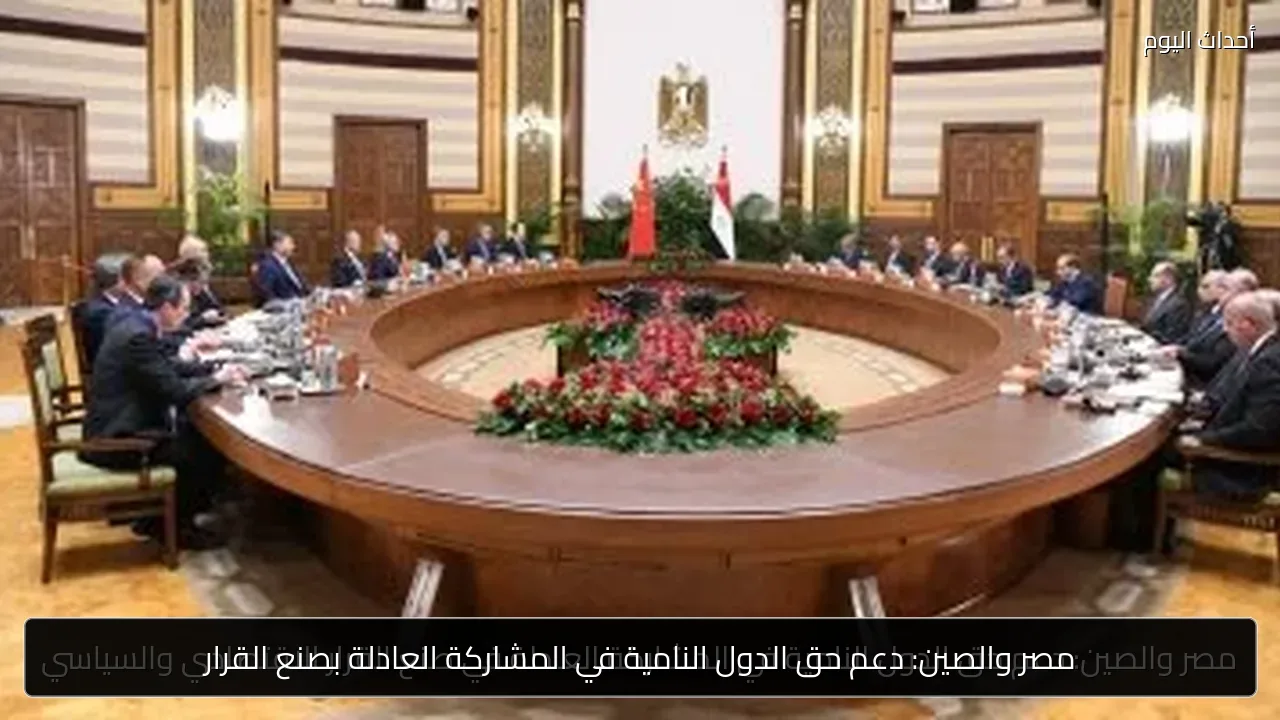 مصر والصين: دعم حق الدول النامية في المشاركة العادلة بصنع القرار