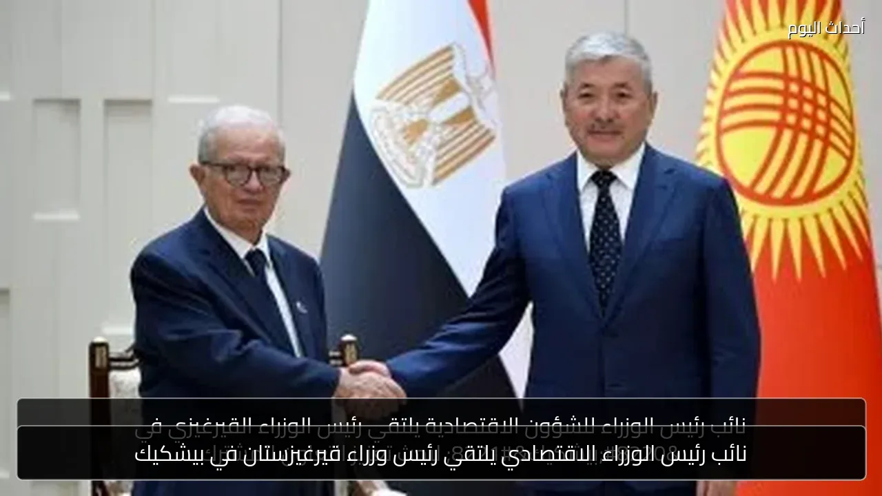 نائب رئيس الوزراء الاقتصادي يلتقي رئيس وزراء قيرغيزستان في بيشكيك