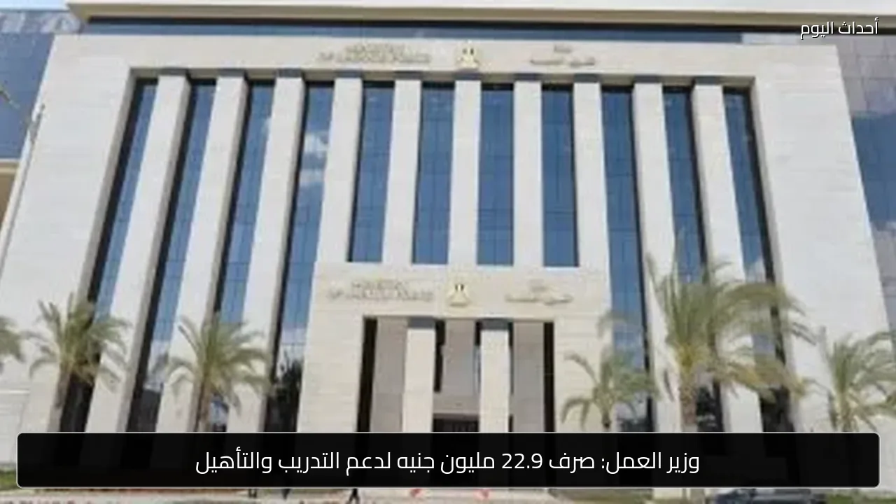 وزير العمل: صرف 22.9 مليون جنيه لدعم التدريب والتأهيل