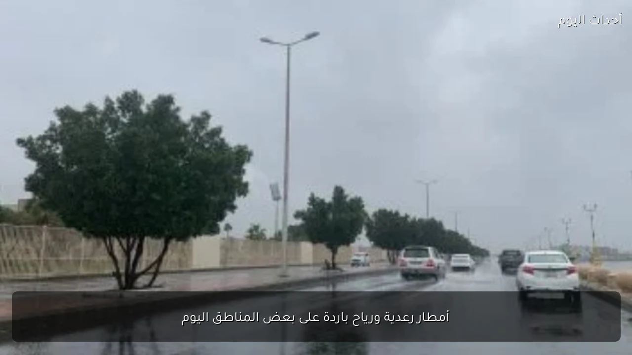 أمطار رعدية ورياح باردة على بعض المناطق اليوم