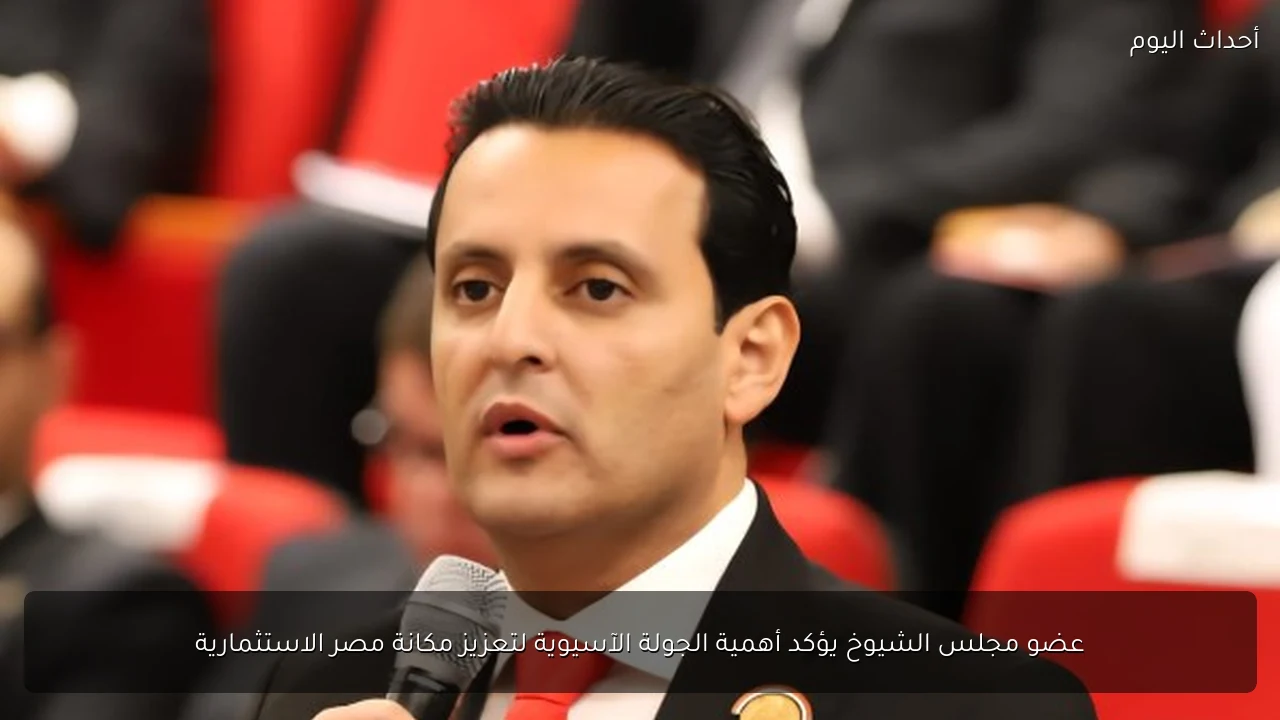 عضو مجلس الشيوخ يؤكد أهمية الجولة الآسيوية لتعزيز مكانة مصر الاستثمارية
