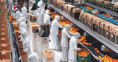 15 سوقا تستحوذ على 61% من صادرات الصناعات الغذائية المصرية  أول 4 أشهر من 2026