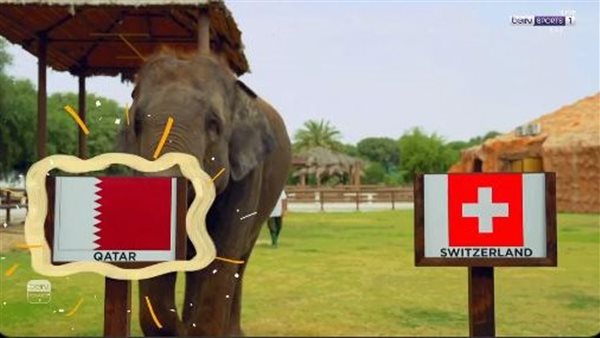 قطر مرشحة للفوز على سويسرا في كأس العالم 2026
