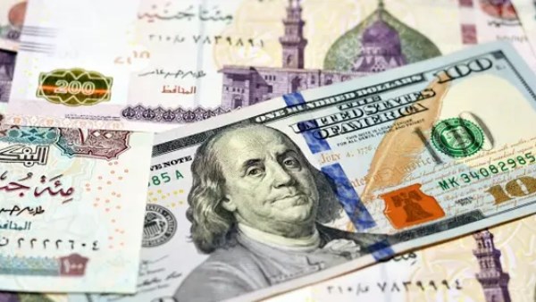 ثابت عند 49.84 جنيه.. سعر الدولار اليوم