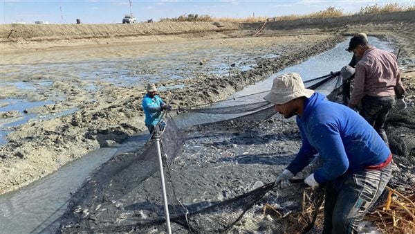 رئيس شعبة الأسماك: خطة لتعزيز صناعة الاستزراع السمكي بدعم من البنك الدولي