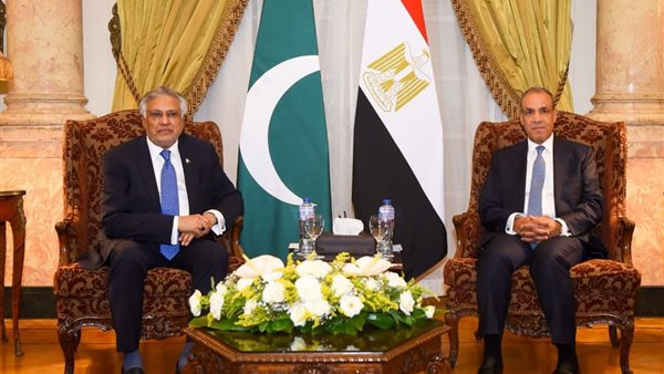وزير الخارجية يبحث مع نظيره الباكستاني تعزيز العلاقات الثنائية بين البلدين الصديقين