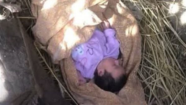تفاصيل العثور على طفلة حديثة الولادة بأراض زراعية ببسيون