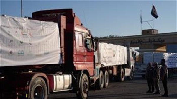 64 شاحنة مساعدات إماراتية تعبر إلى غزة تحمل 786 طنا أغذية