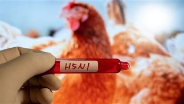 أستراليا ترصد ثاني إصابة بإنفلونزا الطيور H5N1 وتكثف إجراءات الاحتواء