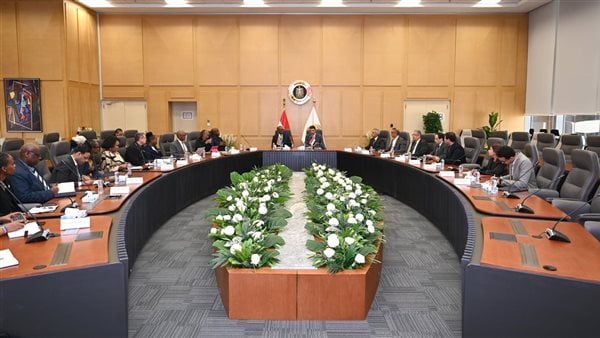 وزير الصناعة يعلن التفاوض مع شركات عالمية لتوطين إنتاج المواد الدوائية الفعالة