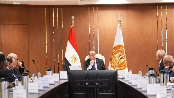 وزير العمل: 2.5 مليار جنيه دعمًا لـ441 ألف عامل عبر صندوق إعانات الطوارئ