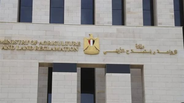 شبهات تزوير ومخالفات بـ550 مليون جنيه.. فحص بلاغ ضد مسؤول بوزارة الزراعة بمشروعات سيناء