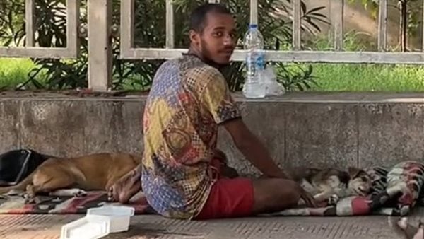 ترك فراشه لكلب.. فيديو لمشرد بالقاهرة يثير التعاطف على السوشيال ميديا