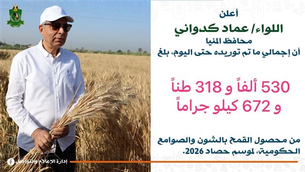 محافظ المنيا: توريد 530 ألف طن قمح منذ بدء الموسم