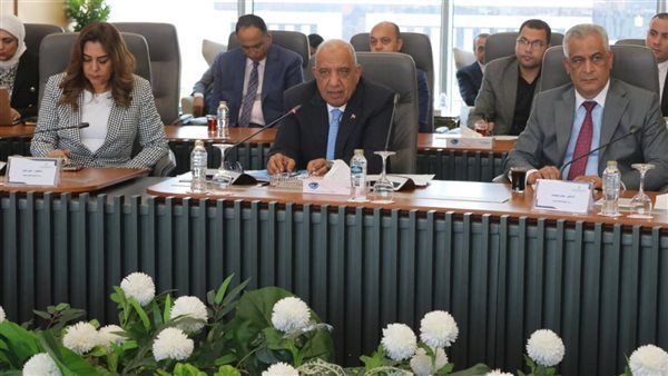 دعمًا للتصنيع المحلي.. الأعلى للطاقة يقر توفير الكهرباء والغاز لمشروعات جديدة