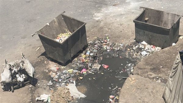 القمامة والمياه الراكدة يدفعون السكان إلى الهروب من شارع رايل بحلوان