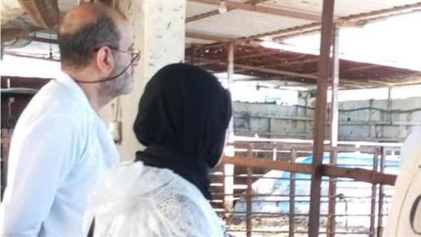 حملة تحصين مكثفة في دمياط لحماية الثروة الحيوانية ومتابعة المزارع بكفر البطيخ