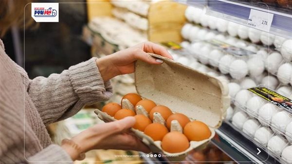 أسعار كرتونة البيض اليوم في الأسواق المصرية: تحديث 25 يونيو 2026
