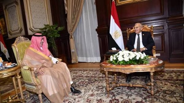 رئيس مجلس الشيوخ: مصر والسعودية جناحى الأمة وركيزتين للأمن و الاستقرار الإقليمى