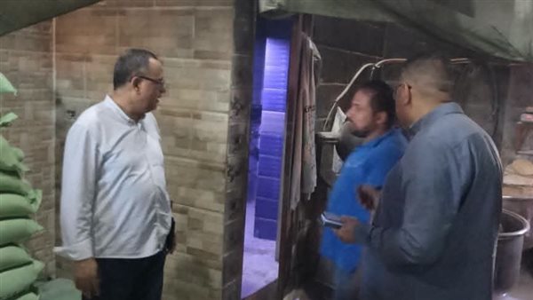 محافظ الدقهلية يتابع جهود مديرية التموين ويحرر 538 مخالفة لحماية المواطنين