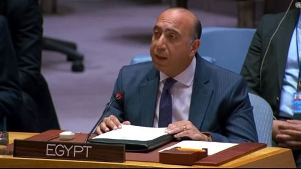 مندوب مصر بمجلس الأمن: تقسيم السودان خط أحمر وحمايته مسؤولية دولية جماعية