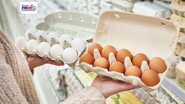 أسعار كرتونة البيض والكتاكيت اليوم السبت 27 يونيو 2026