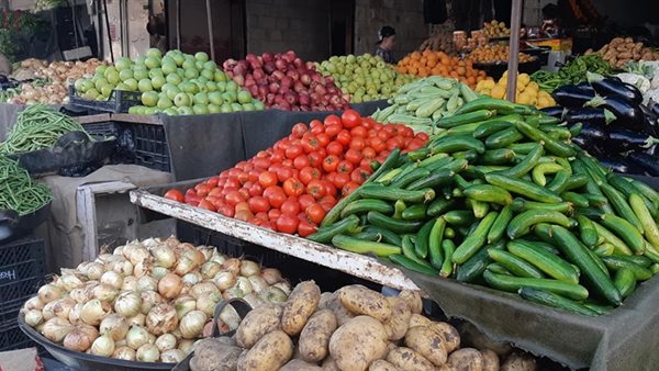 سعر الخضار اليوم الإثنين 29 يونيو 2026