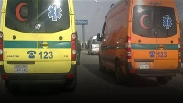 مصرع سيدة وإصابة 3 آخرين بينهم طفلة في تصادم سيارة ملاكي وتوكتوك بالدقهلية