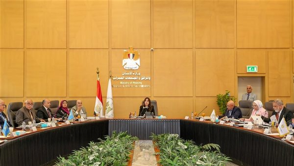 تعيين مصطفى الشيمي رئيساً للشركة القابضة لمياه الشرب والصرف الصحي وتكليفه بأعمال العضو المنتدب