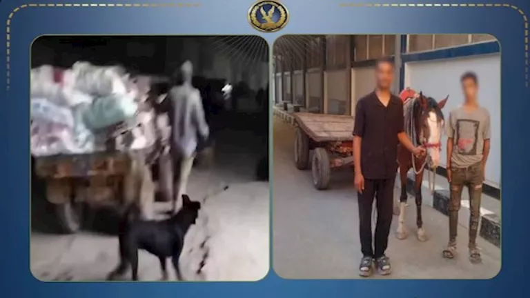 ضبط عاطلين حولوا شارع المرج إلى مقلب قمامة بعد فيديو أثار الغضب
