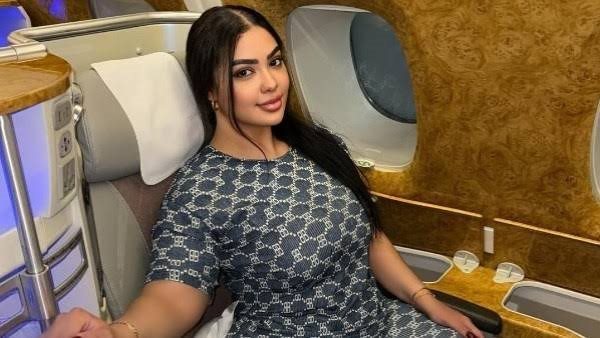 قبول استئناف البلوجر نرمين طارق ضد حكم حبسها بسبب نشر محتوى خادش للحياء