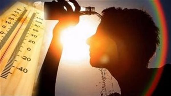 4 نصائح من مستشار برنامج المناخ العالمي لتفادي موجات الحر