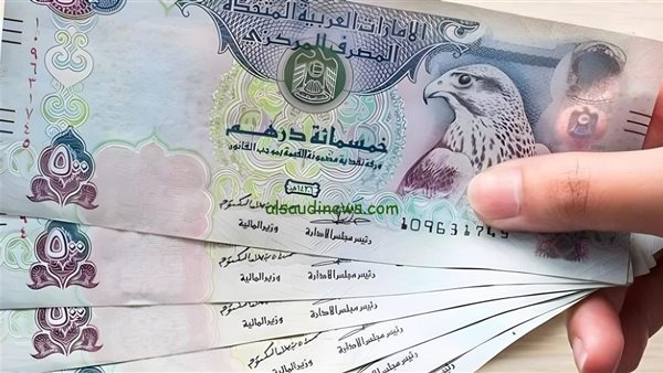 استقرار سعر الدرهم الإماراتي مقابل الجنيه المصري في البنوك اليوم