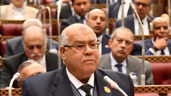ناجى الشهابى: الصناعة قضية أمن قومي وأساس للاستقلال الوطني
