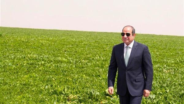 السيسي يحتفل بذكرى ثورة 30 يونيو: خطوات نحو تعافي الاقتصاد وجذب الاستثمارات