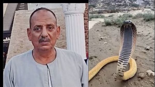 نقابة الفلاحين بالشرقية توضح أسباب ظهور الثعابين وسبل الوقاية اللازمة