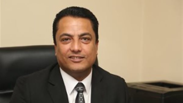 محلل سياسي: وعي المصريين أنقذ الدولة والأسباب الحقيقية وراء ثورة 30 يونيو
