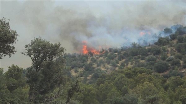 الجزائر تسجل 13 حريقًا في عدة ولايات وتواصل جهود الإخماد