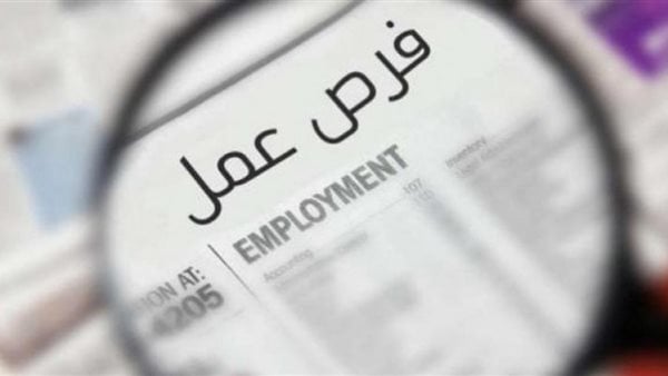 8216 فرصة عمل جديدة داخل البلاد وخارجها.. اعرف التفاصيل