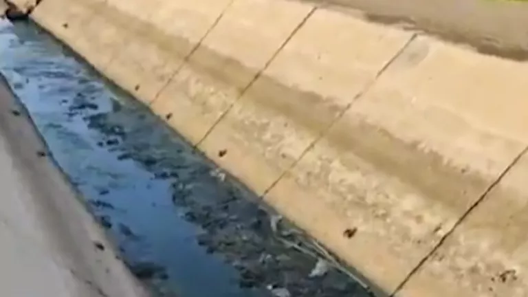 أزمة الهجارسة: مزارعون يشكون من جفاف الترعة رغم جهود التطهير