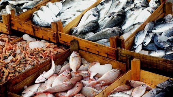 أسعار الأسماك والمأكولات البحرية اليوم الأحد 21 يونيو بالأسواق