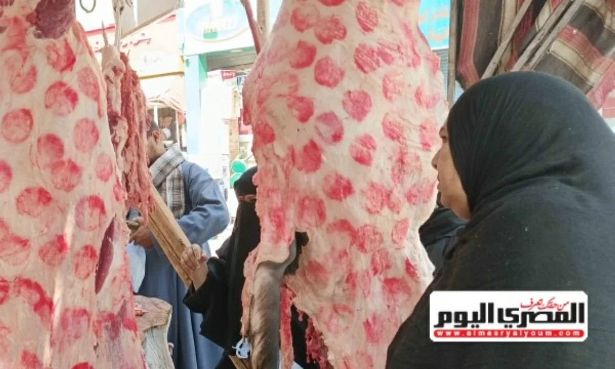 أسعار اللحوم اليوم الثلاثاء 16 يونيو 2026 في أسواق الأقصر